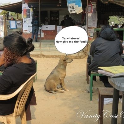 Foodie Diaries 1- My Visit To JNU Campus