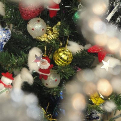 Sharing Some X-Mas Pics From Yesterday..